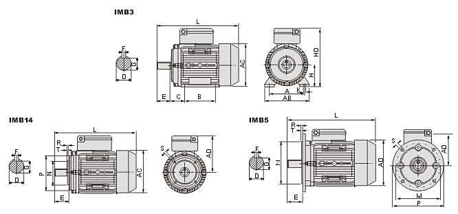 ms-a