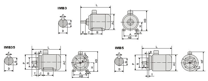 ms-a